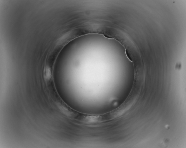 X0000102380089200808011546
