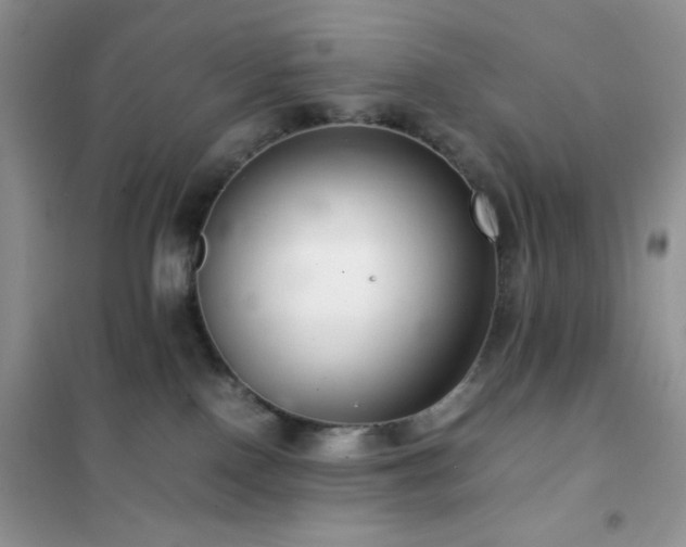 X0000102380090200808011546