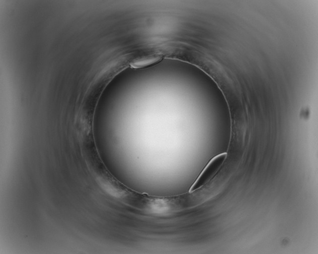 X0000102380091200808011546