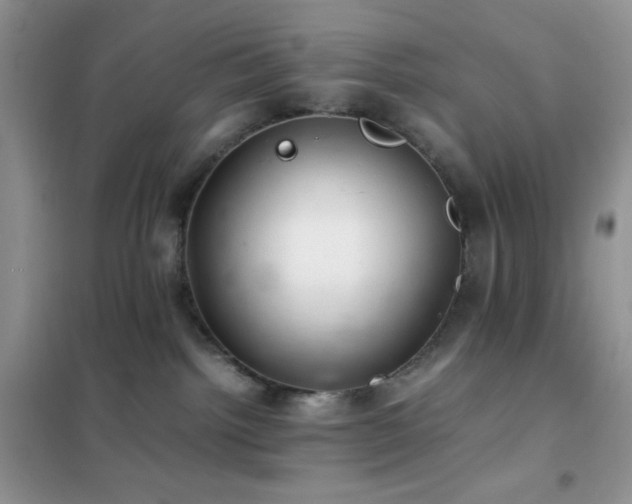 X0000102380092200808011546