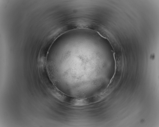 X0000102380093200808011546