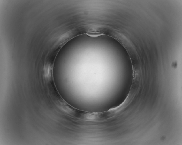 X0000102380094200808011546