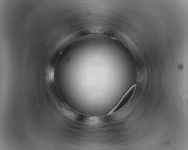 X0000102380095200808011546