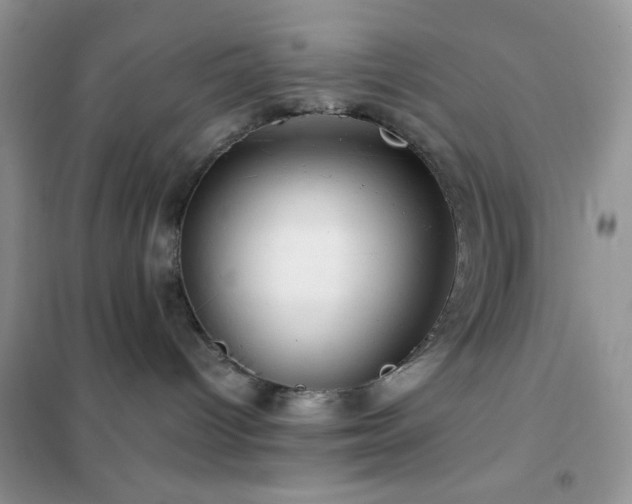 X0000102380096200808011546