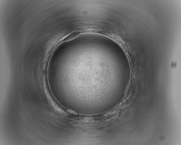 X0000102380097200808011546