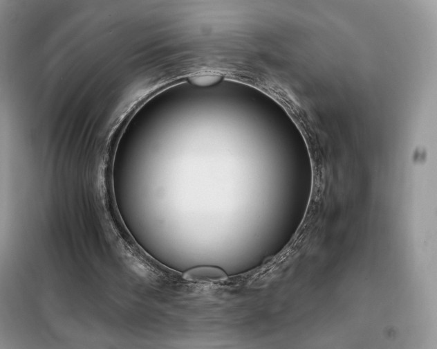 X0000102380098200808011546