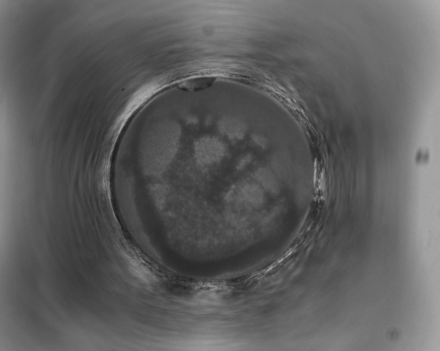 X0000102380099200808011546