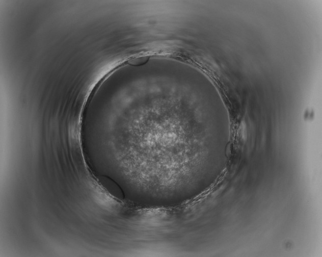 X0000102380100200808011546