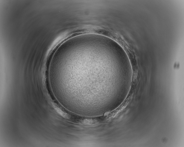 X0000102380101200808011546