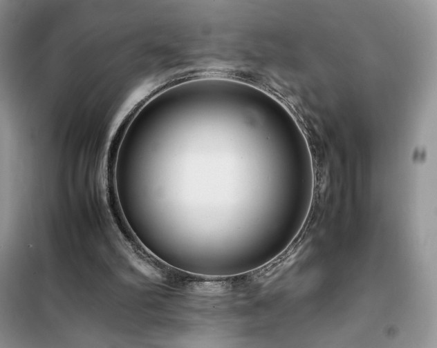 X0000102380102200808011546