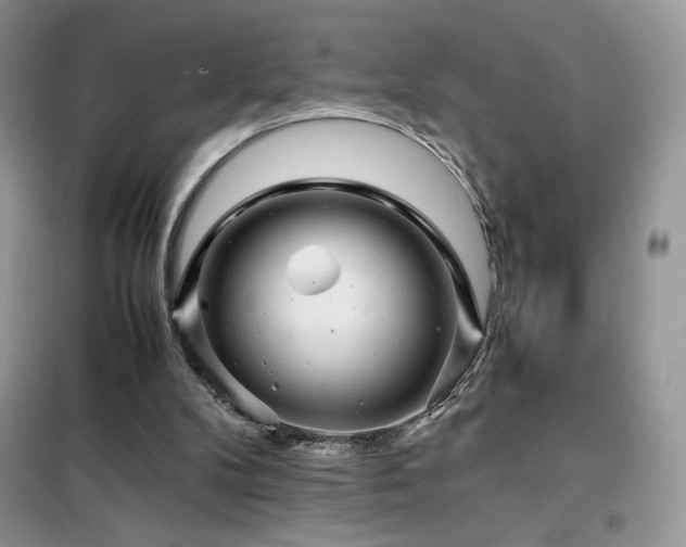 X0000102380104200808011546