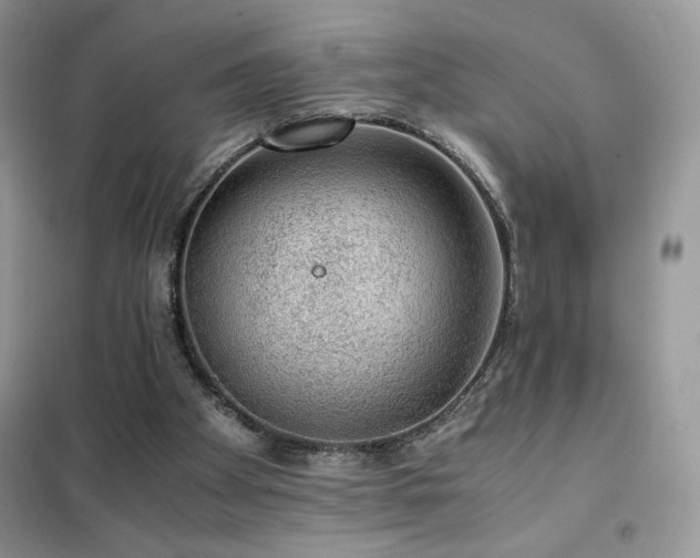 X0000102380105200808011546