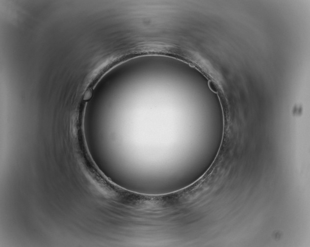 X0000102380107200808011545