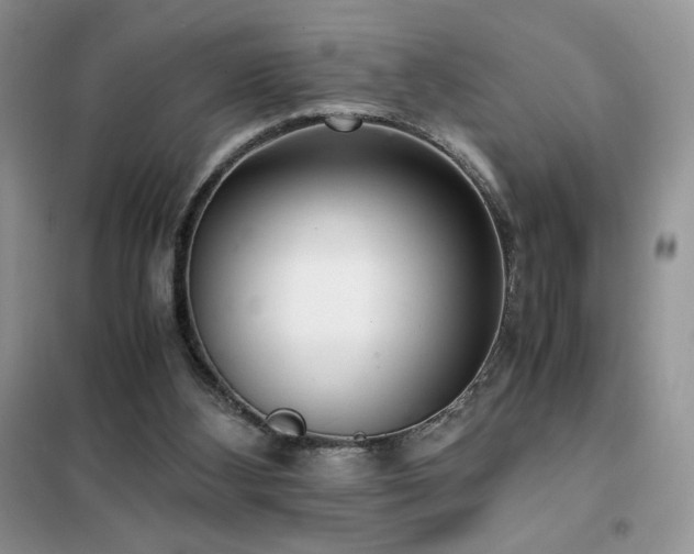 X0000102380108200808011545
