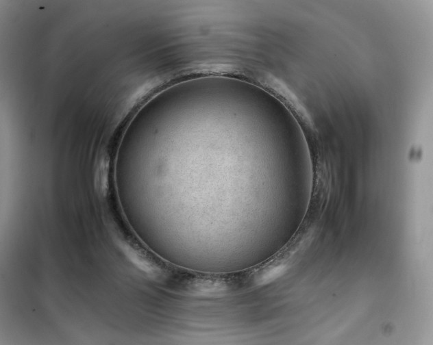 X0000102380110200808011545