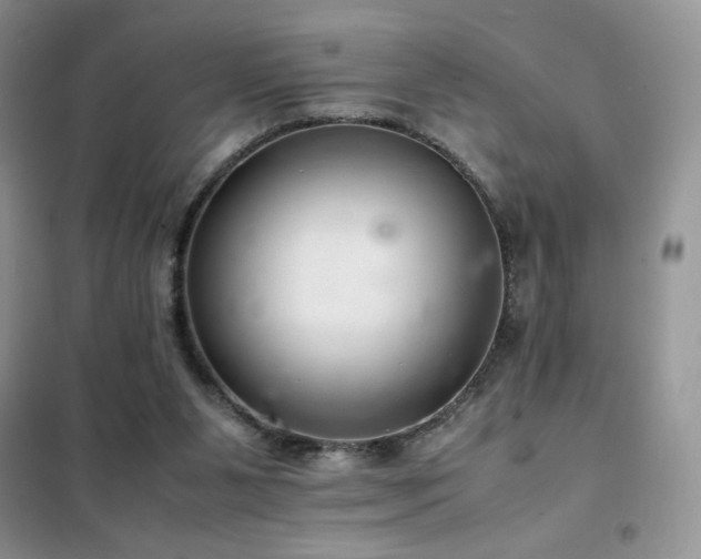X0000102380111200808011545