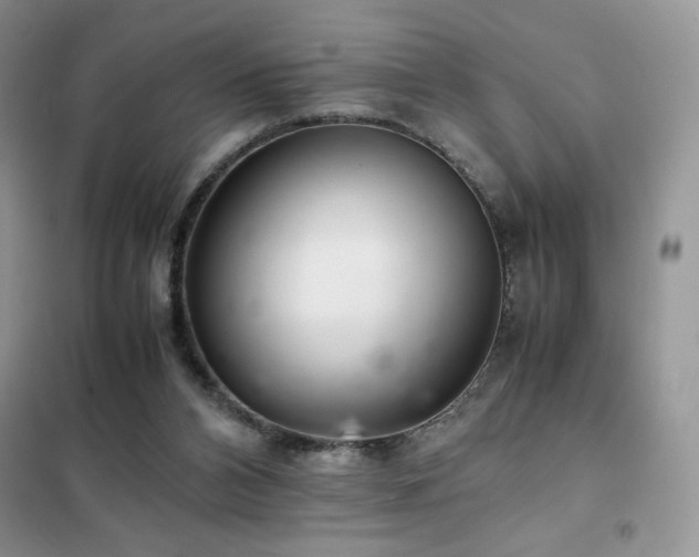X0000102380112200808011545