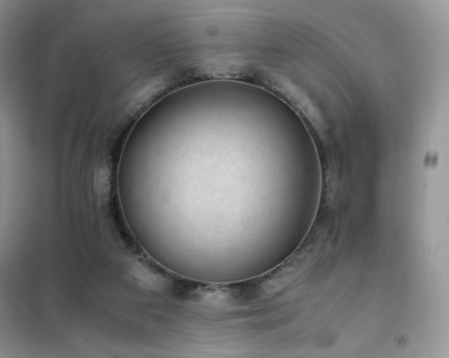X0000102380113200808011545