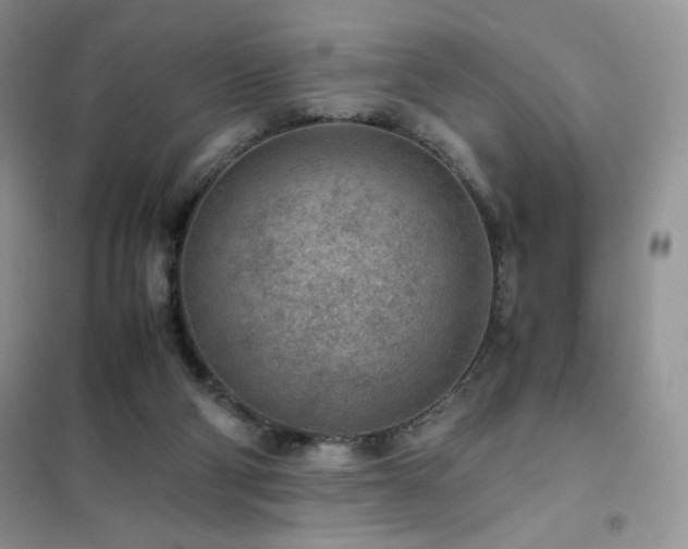 X0000102380114200808011545