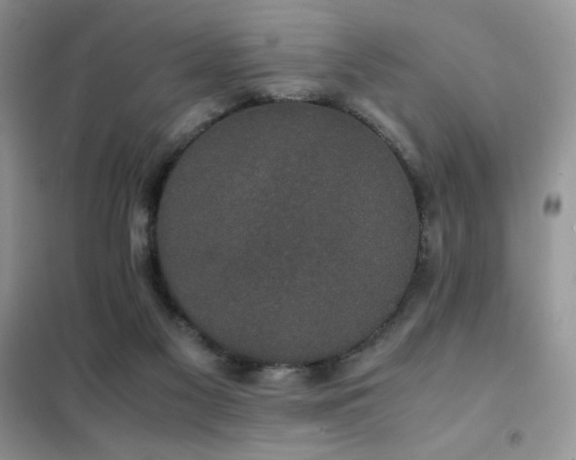 X0000102380117200808011545