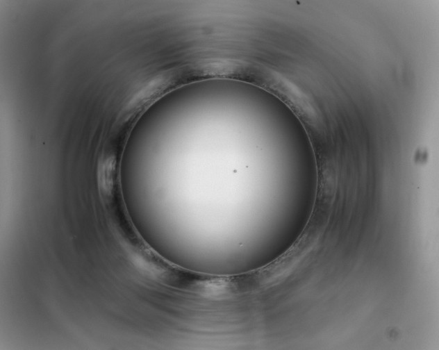 X0000102380118200808011545