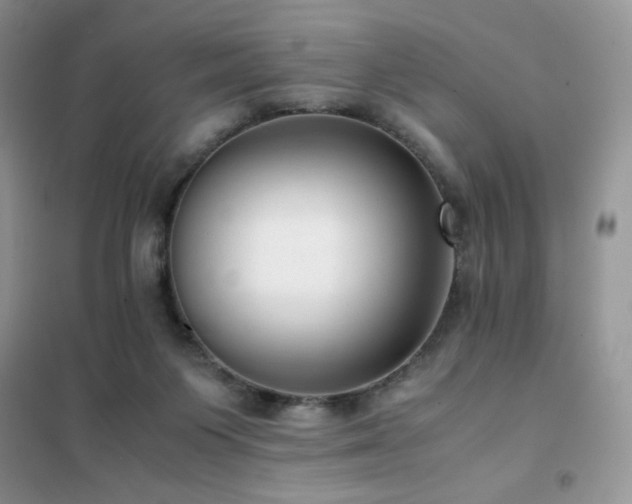 X0000102380119200808011545