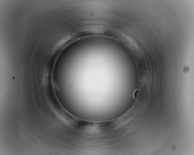 X0000102380120200808011545