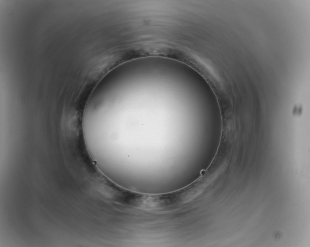 X0000102380121200808011545