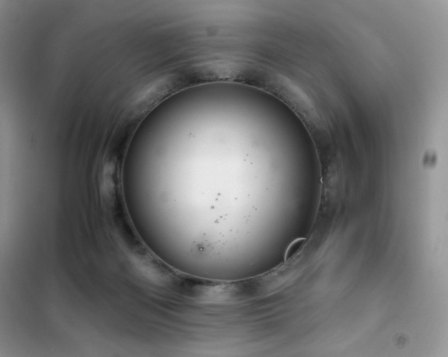 X0000102380122200808011545