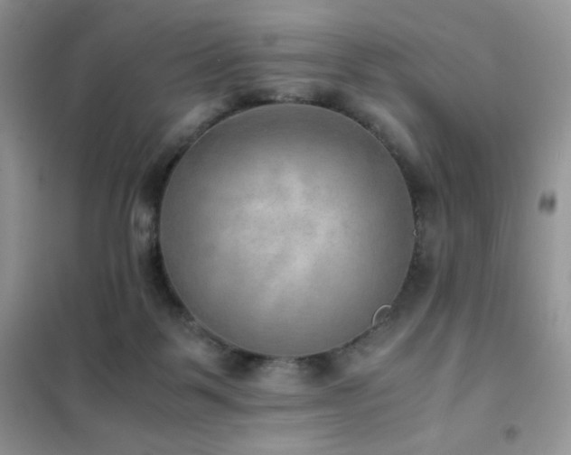 X0000102380123200808011545
