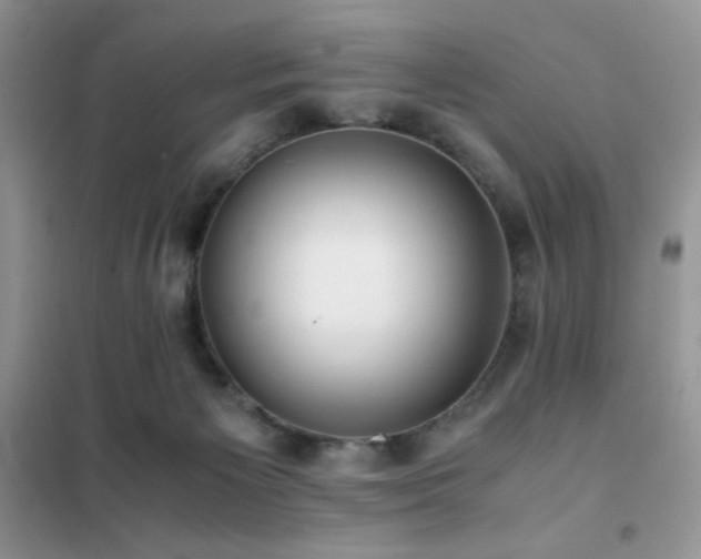 X0000102380125200808011545