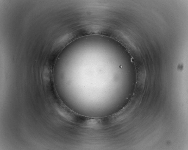 X0000102380126200808011545