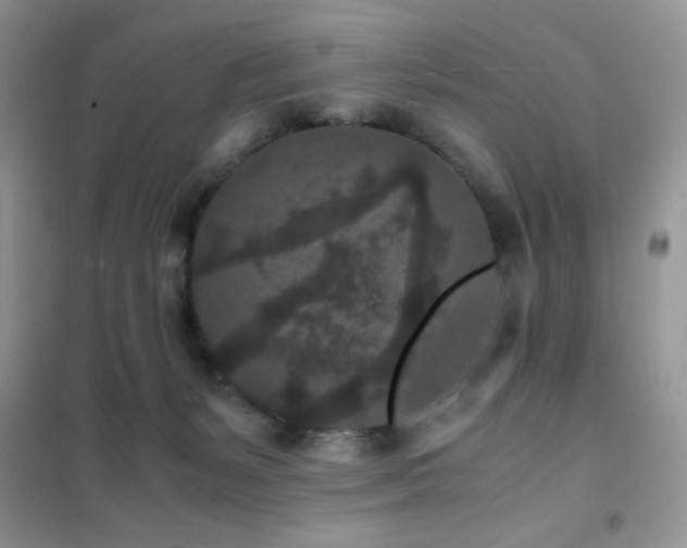 X0000102380127200808011545