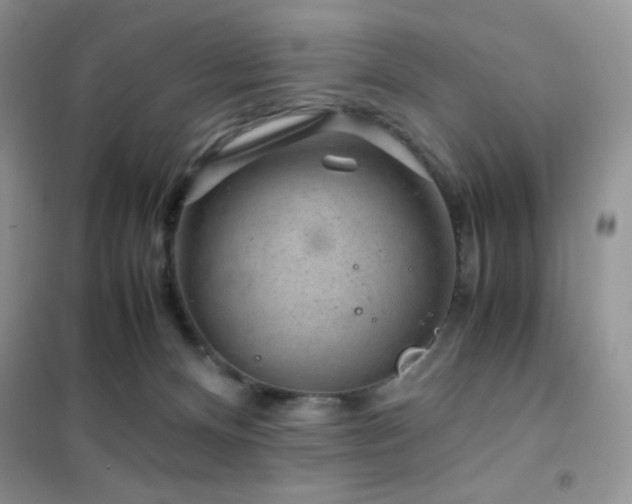 X0000102380128200808011545