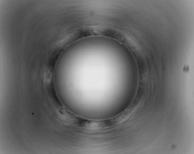 X0000102380129200808011545