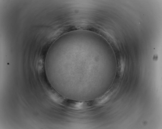 X0000102380130200808011545