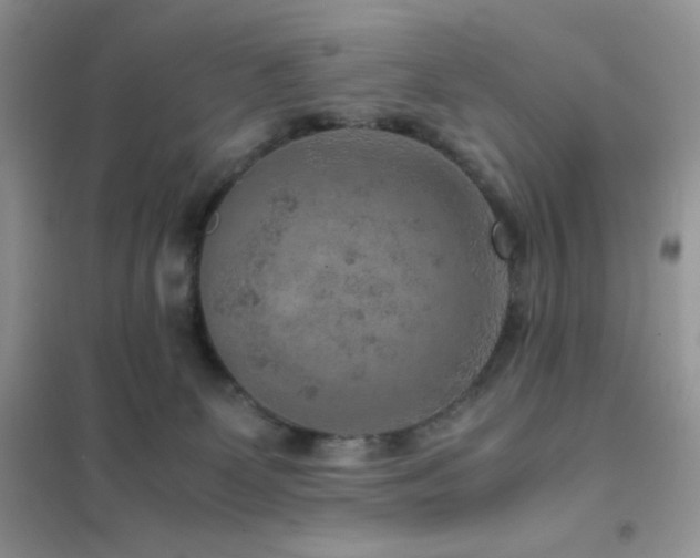 X0000102380131200808011545