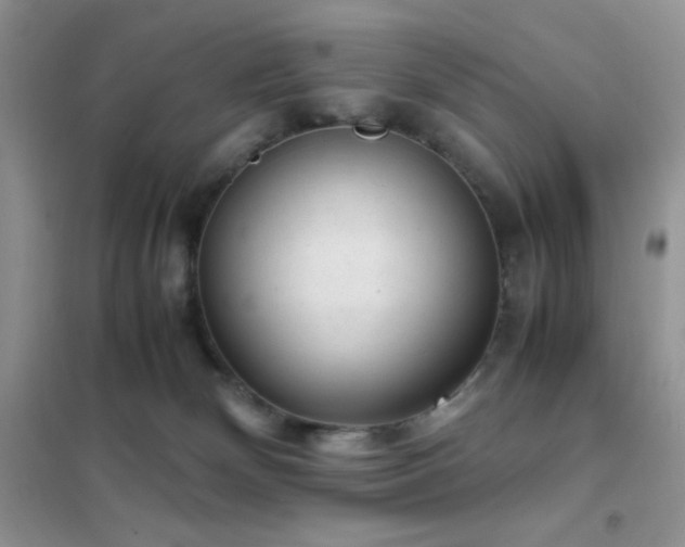 X0000102380132200808011545