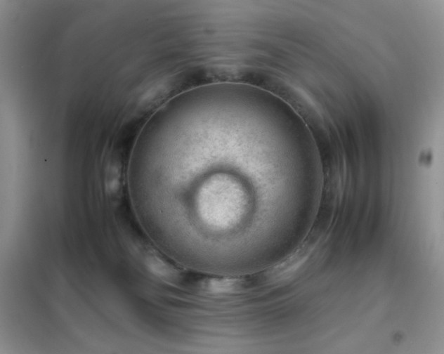 X0000102380134200808011545