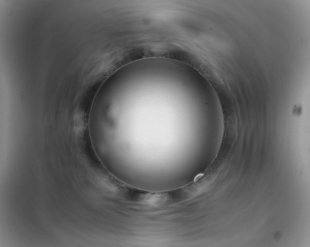 X0000102380135200808011545