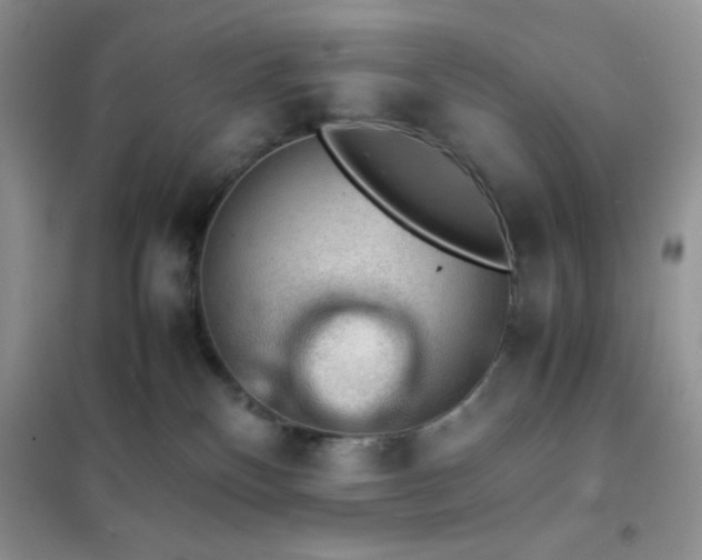 X0000102380136200808011545