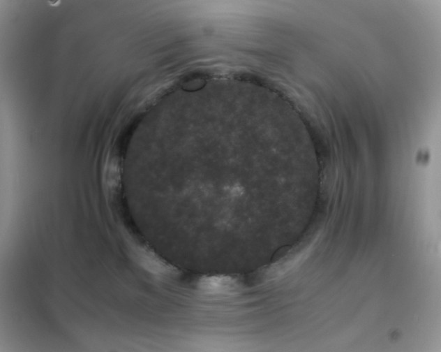 X0000102380137200808011545