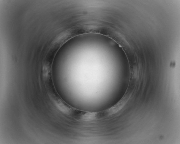 X0000102380138200808011545