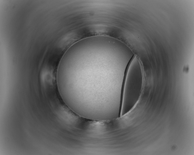 X0000102380140200808011545