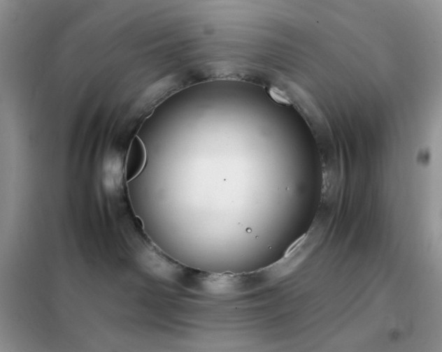 X0000102380142200808011545