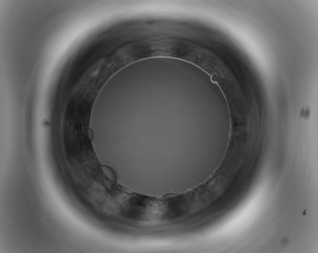 X0000102380143200808011545