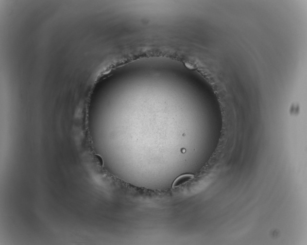 X0000102380144200808011545