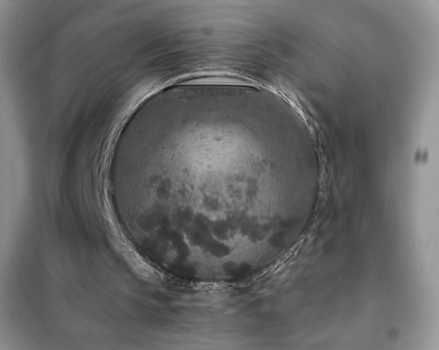 X0000102380145200808011544