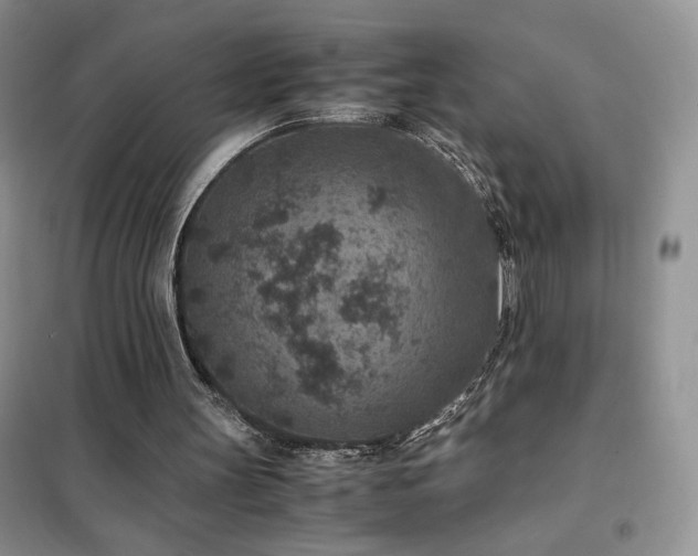 X0000102380147200808011544
