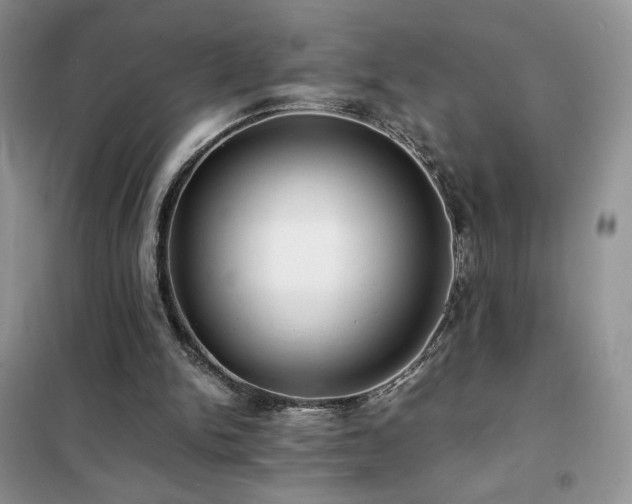 X0000102380150200808011544